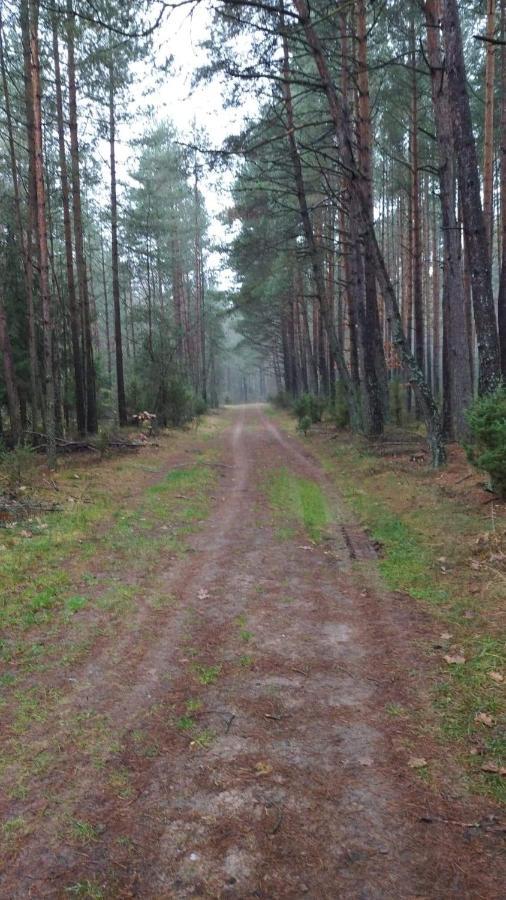 Na Swierkowej