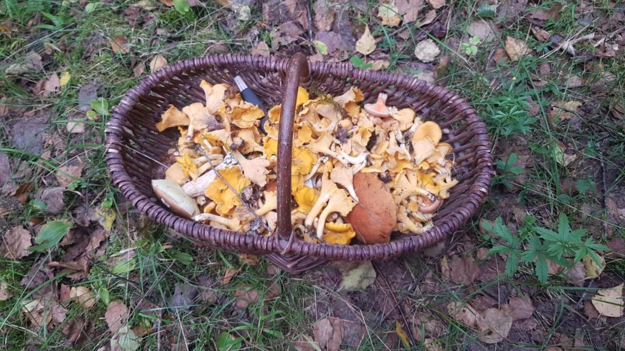 Na Swierkowej